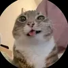 giggledicker