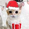 user8575198270501