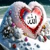 user1688777336255