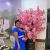 loan.kim4639