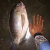 userar280799