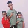 user94511528857