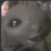 king_corrot