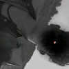 iiopgg1