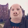 hi_kick68