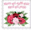user1533329769147