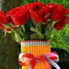 madin.ali0
