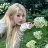 berry_k.pop