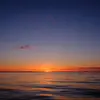 lyra_33