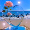 amine.maghbon