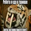 marokrknmdi