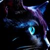 phoenix_3346