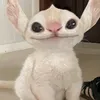 _ayosayos