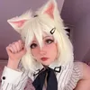 alicedaipai
