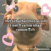 tranthi_baoyennekmom