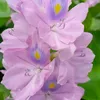 haitam001122