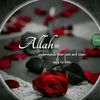 user6088778019445