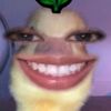 woypanteq_