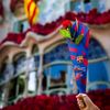 fcbbarcelona345