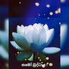 tharushi.madushika46