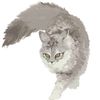 hlwizard