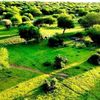 ceyduruus.mohamad00