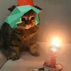 iampuchiii