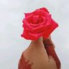 sadiya94038