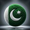 muhammad.farhan.197