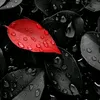 user94015237600865