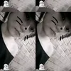 ktinvaomqh_aor