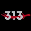 sdaq313