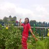shwewarhtun280