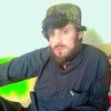 gull.afghan51