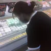 thiluong.1
