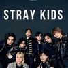 straykidsfan935