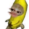 nnnaaaa4_4