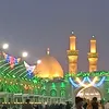 zulfiqaralishah542