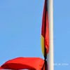 thua_r0i