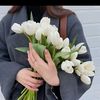 gunay3578