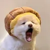 wodengni00