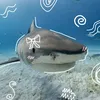 beccacska