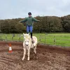 katie33216