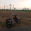 grandbiskuat