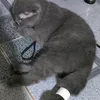 tu.disign