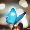 shafiya.aswer