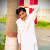 alihassan20252