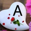 aram_hassan11