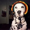 its_dalila8