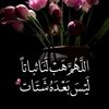 user512527345725